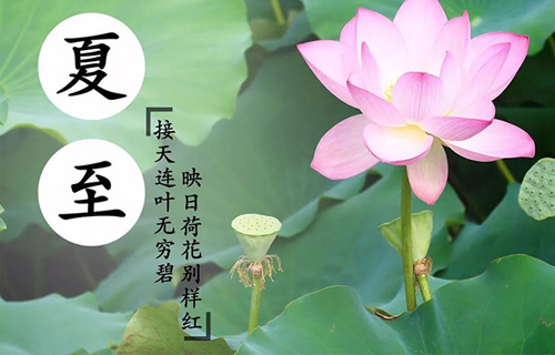 节气养生 | 我院肺病科专家告诉您夏至如何养生