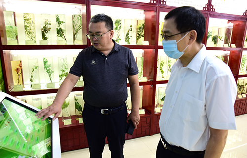 国家中医药管理局监测统计中心主任李宗友一行到长春市中医院进行调研指导