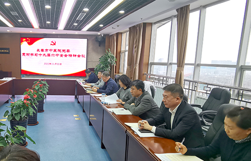 长春市中医院理论中心组集中学习党的十九届六中全会精神